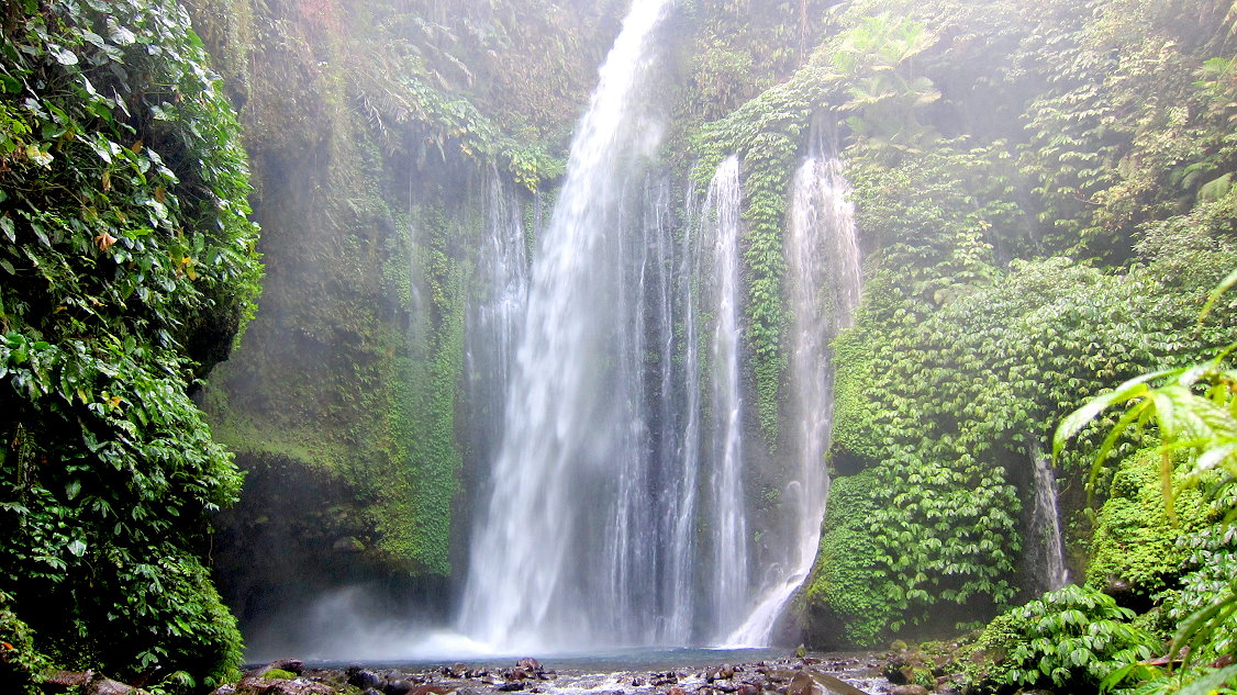 1 Day Trekking Tour: Elephant Cave & Ma Da Valley Jungle Trek