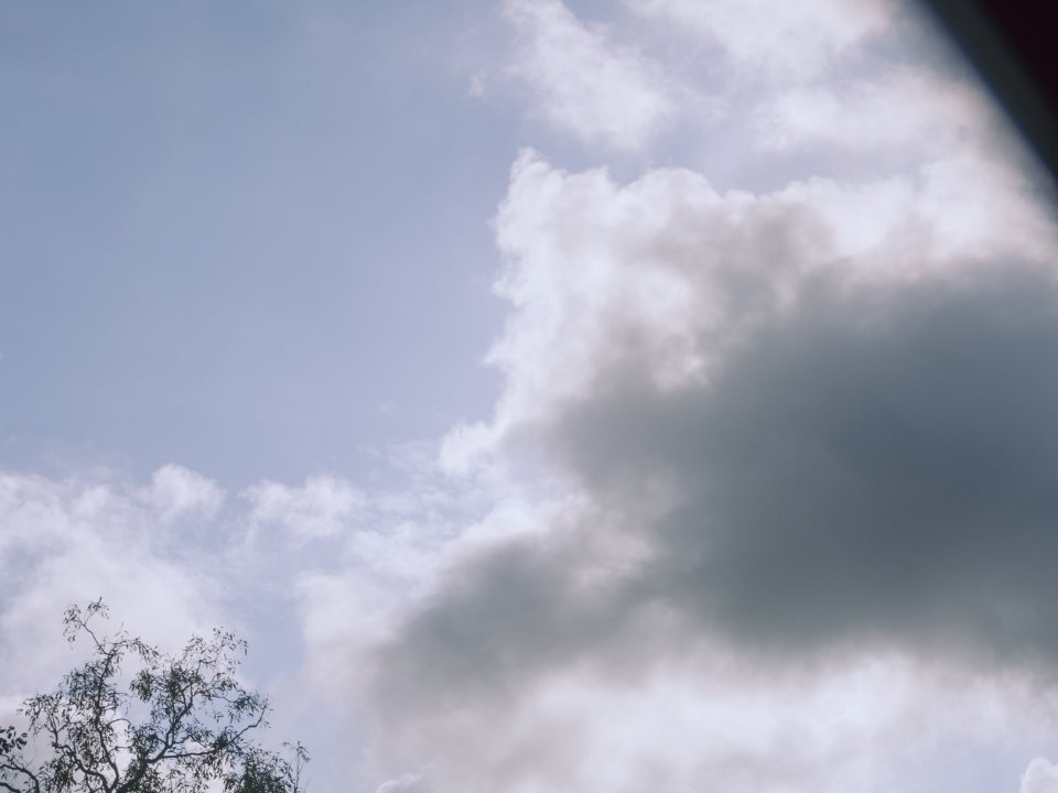 Trees silhouetted against a cloudy sky over an Australian landscape.