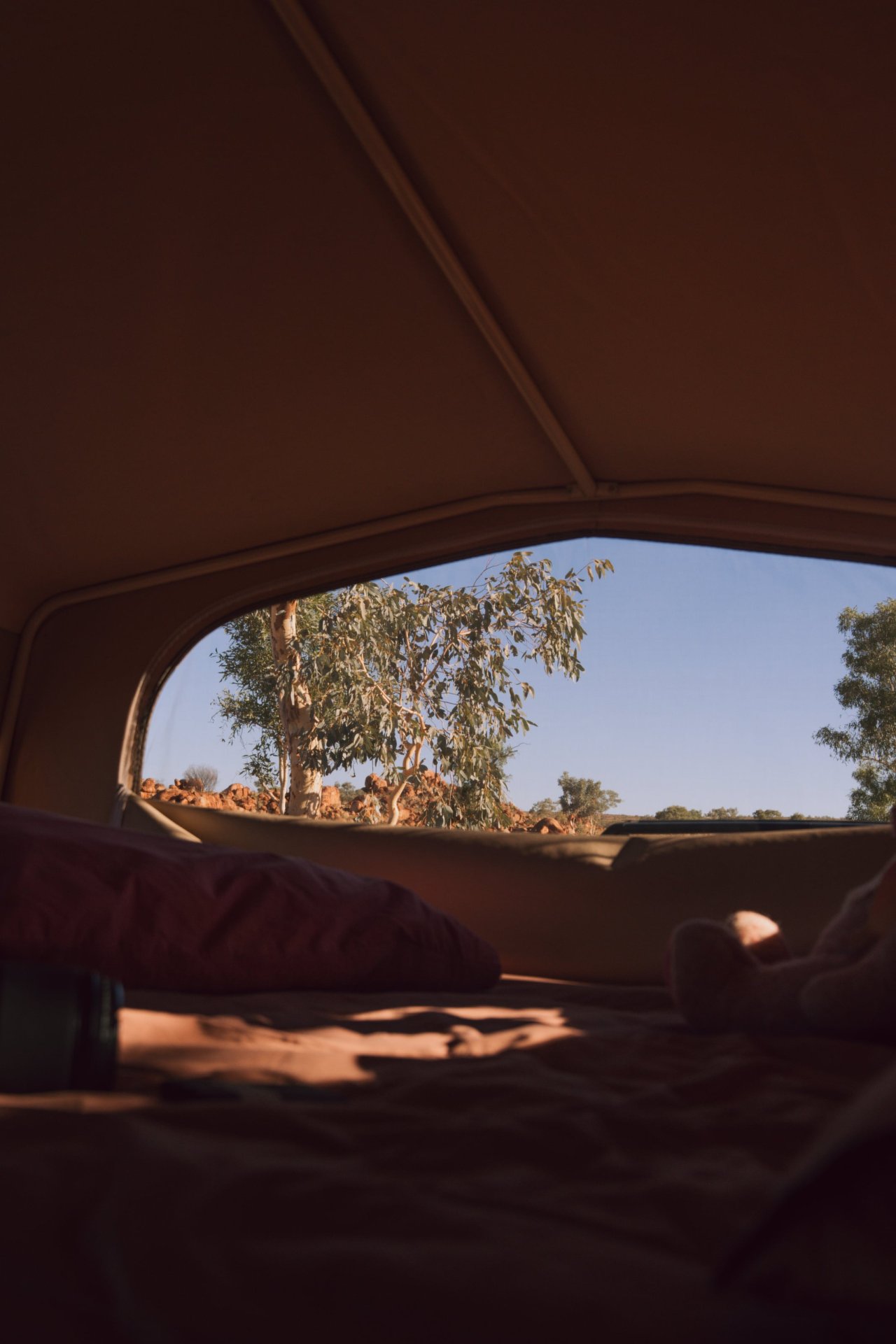 View through a tent opening showing trees and a clear blue sky.