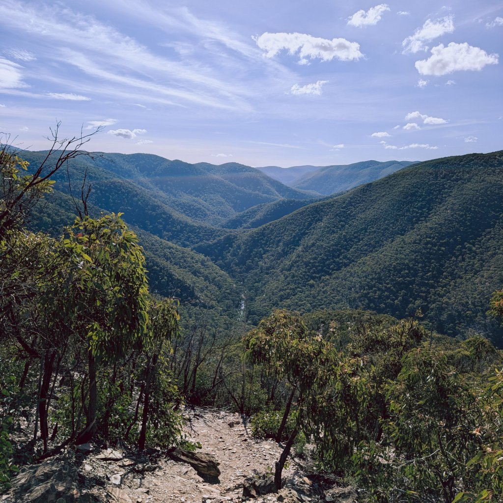 View over rolling hills covered in dense eucalypt forest under a partly cloudy sky.