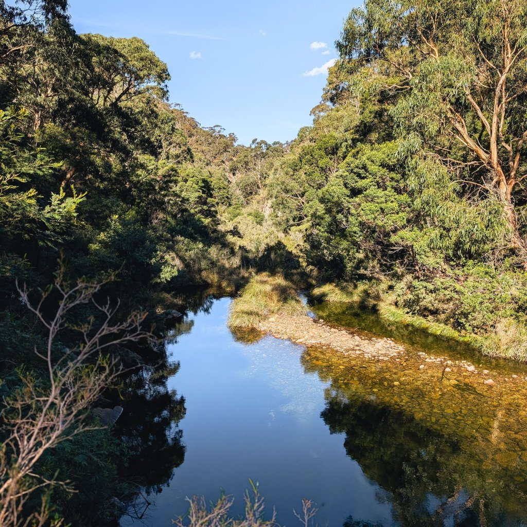 Water reflection in a gorge with dense green foliage under a blue sky.