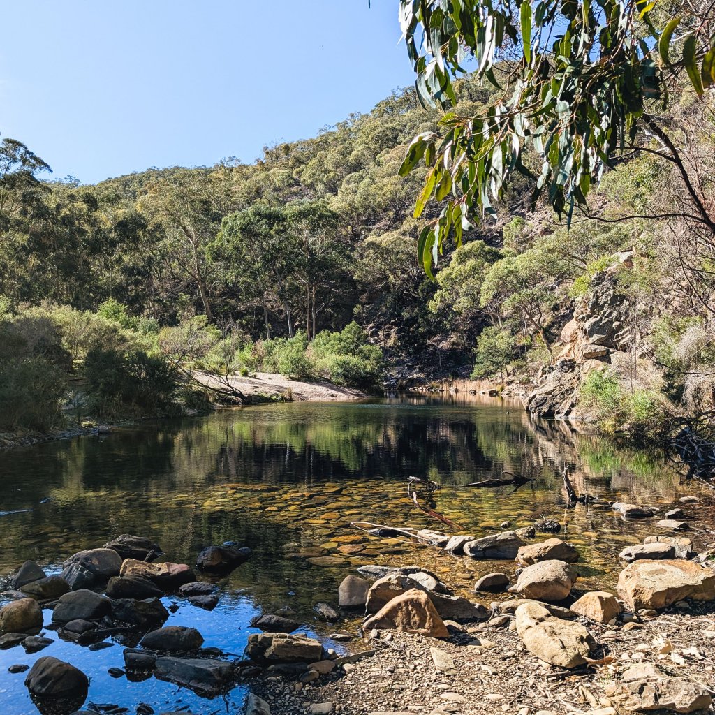 Water and rocks in a gorge area with foliage in the foreground.