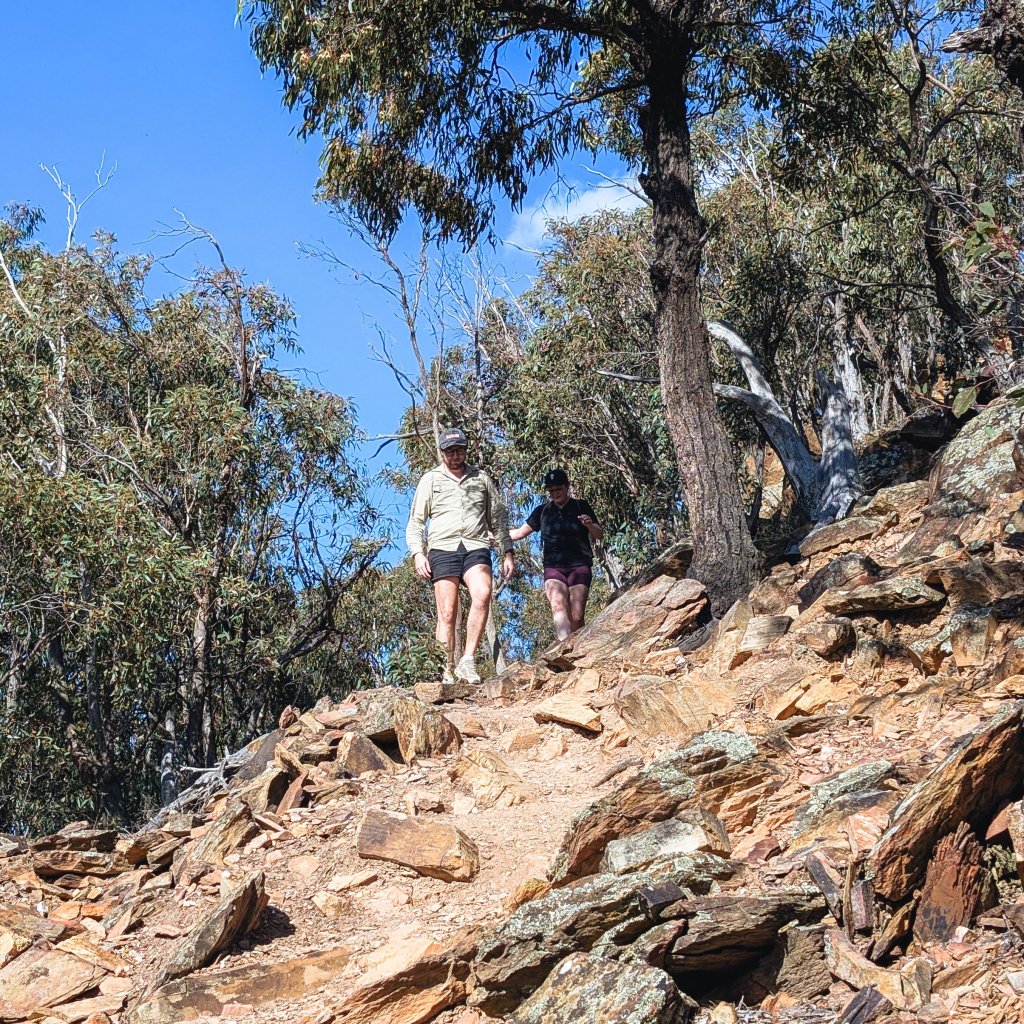 Two people walking down a steep rocky trail through eucalypt forest.