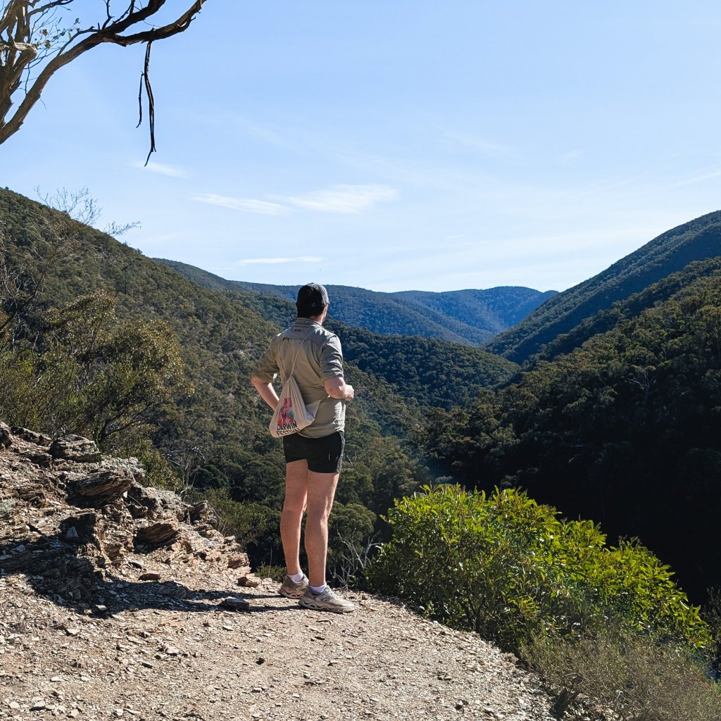 Person standing on a dirt trail overlooking a valley with dense green forest.