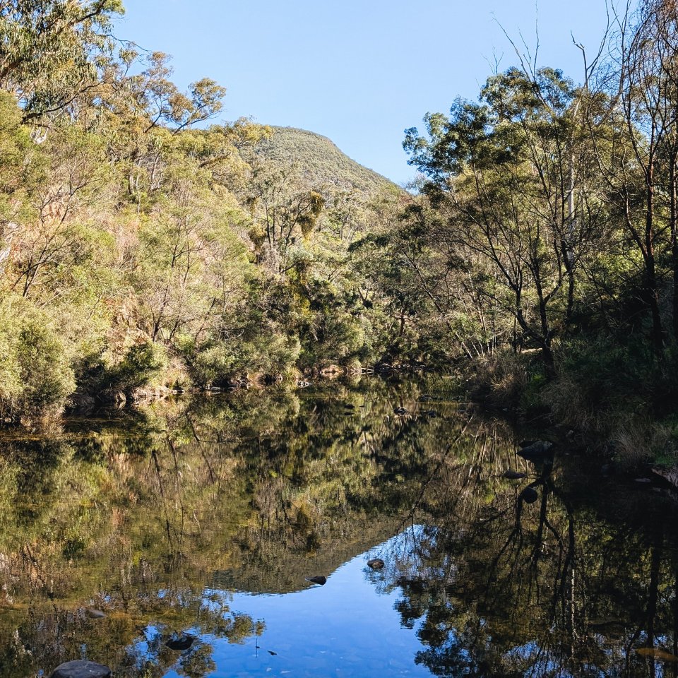 Water reflection over a river in a gorge area with dense vegetation.