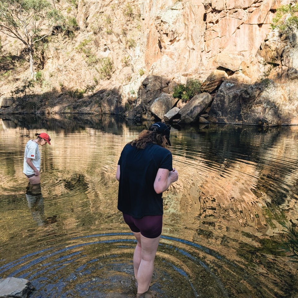 Person standing in shallow water near a rocky riverbank with vegetation.