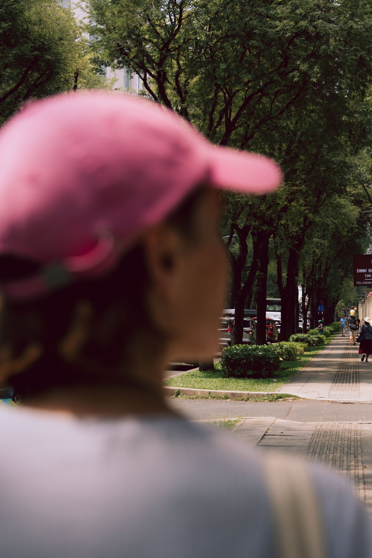 Person wearing a pink hat walking along a tree-lined street in Ho Chi Minh City.