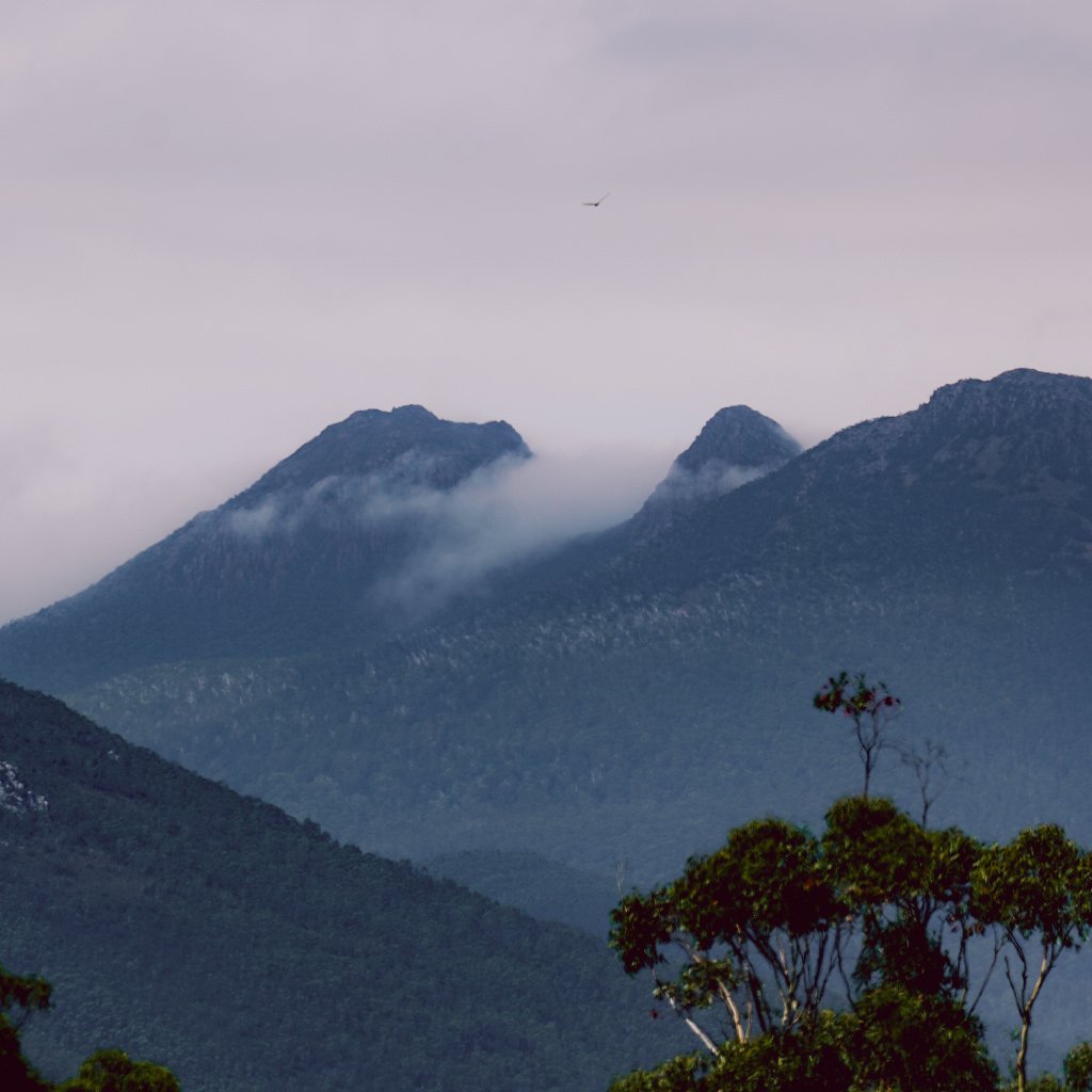 Layered mountain peaks and forested valleys seen from Donaghys Hill.