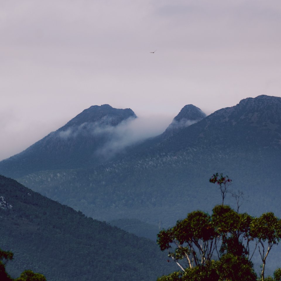 Layered mountain peaks and forested valleys seen from Donaghys Hill.