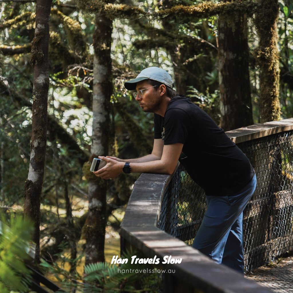 Chris leaning on a wooden boardwalk railing, looking out into a lush, mossy green forest.
