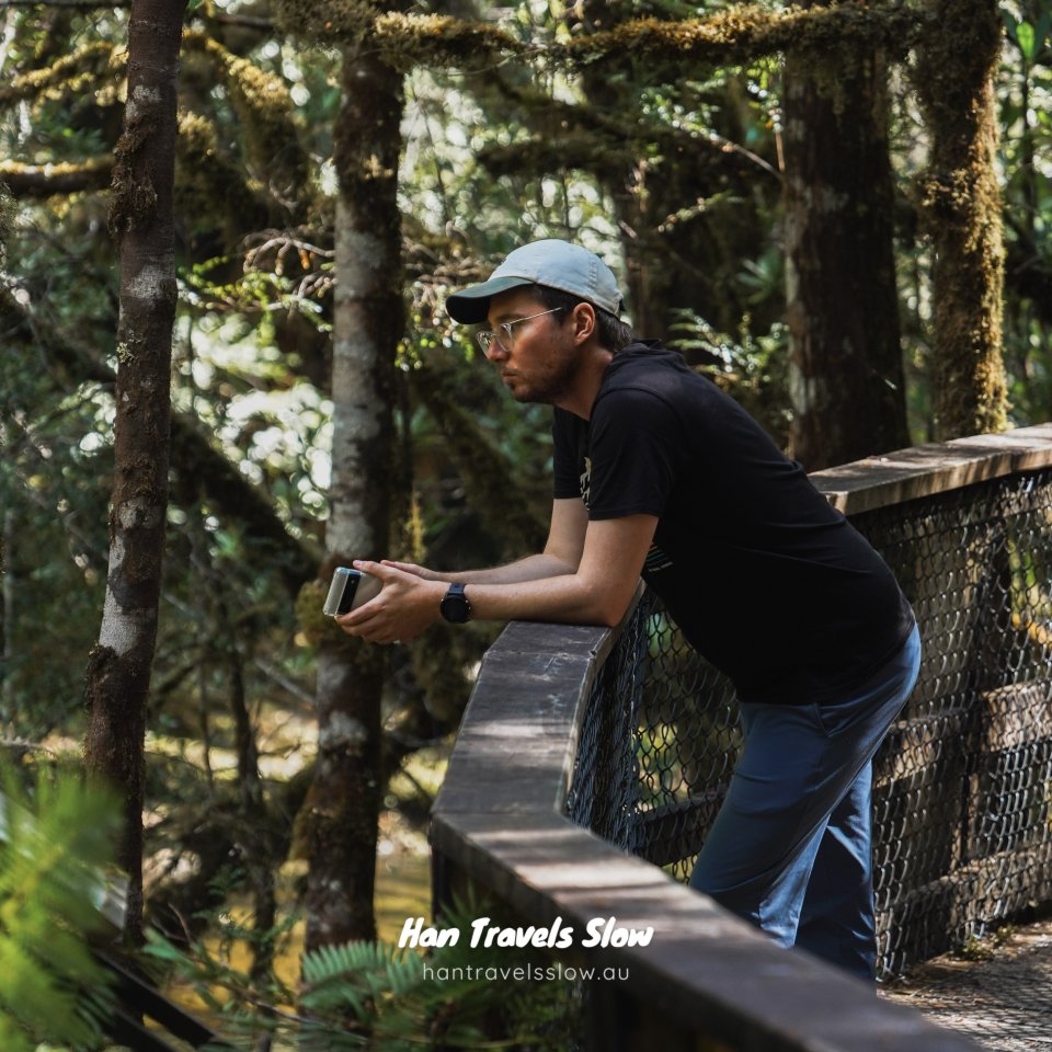 Chris leaning on a wooden boardwalk railing, looking out into a lush, mossy green forest.