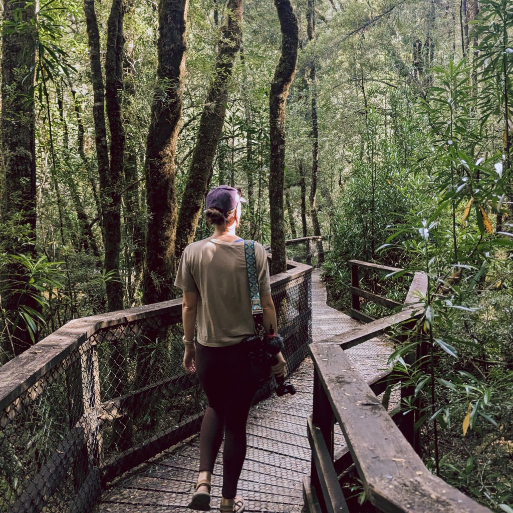 Hannah walking along a wooden boardwalk through a tall eucalypt forest