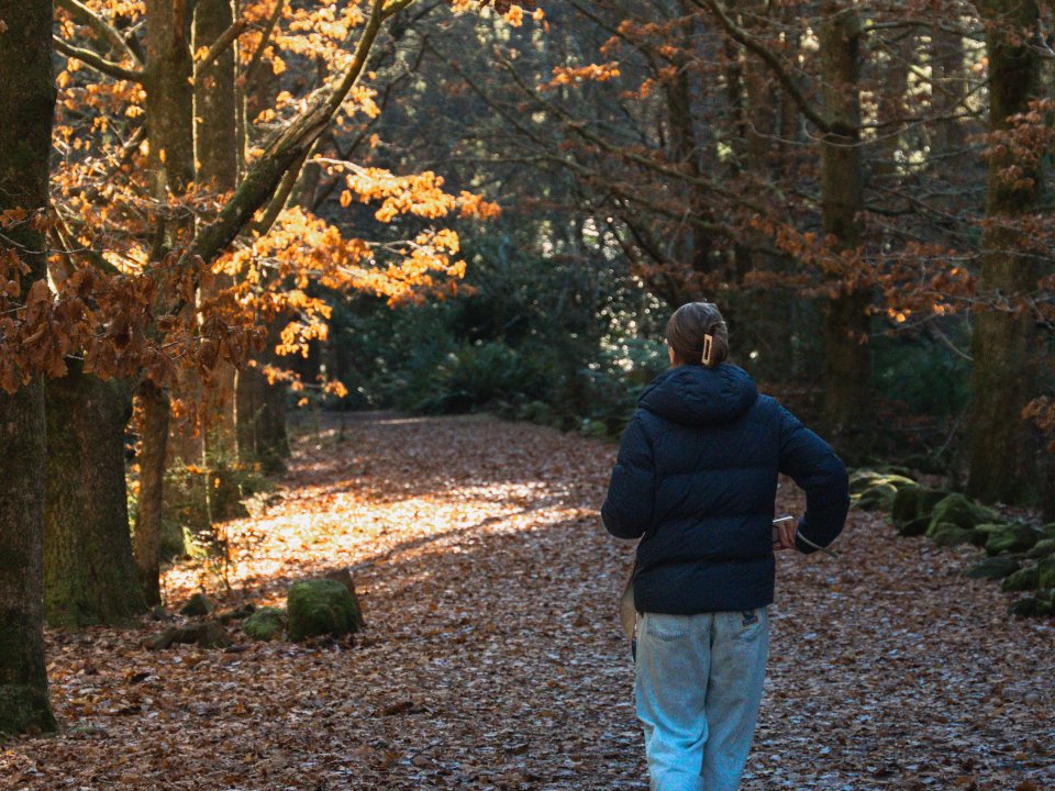 Hannah walking down a leaf-covered forest path under golden autumn trees in the late afternoon sun.