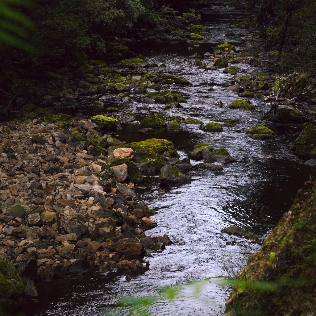A dark, rocky stream flowing through a dense green forest with moss-covered stones along the water's edge.