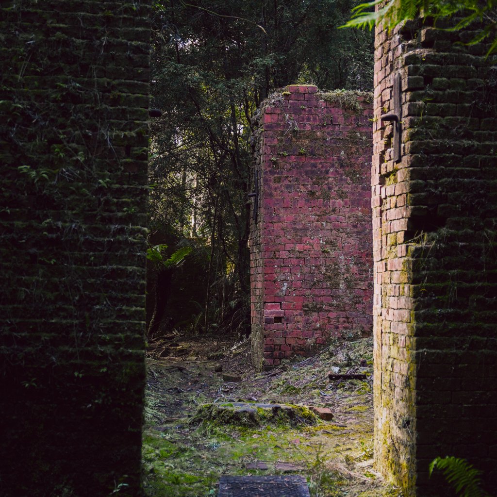 Moss-covered red brick ruins of an old industrial site nestled within a lush, green fern forest.