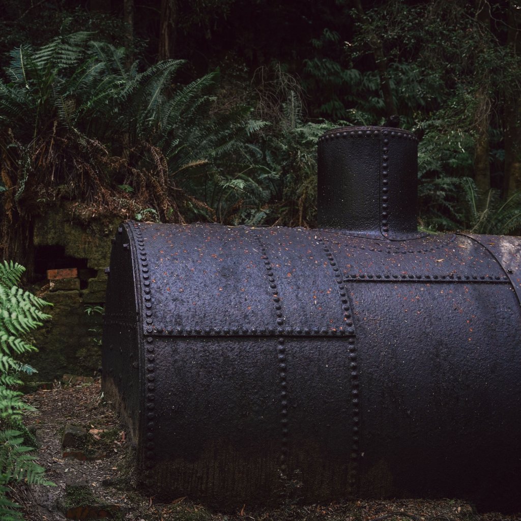 A rusted iron boiler sits abandoned amidst the lush green ferns and dense forest of a historical site.