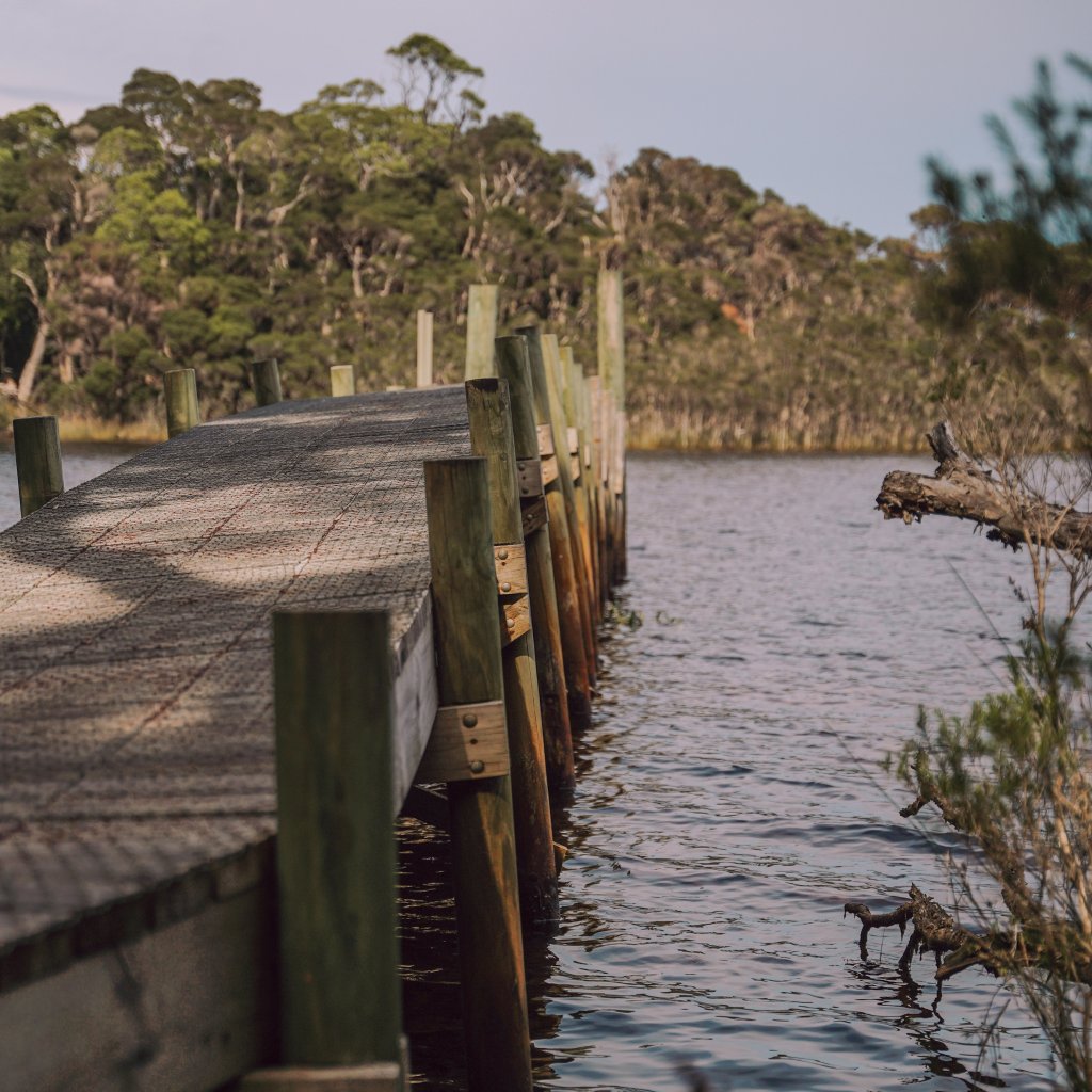 A weathered wooden jetty stretching across calm waters toward a lush green forest under a soft sky.