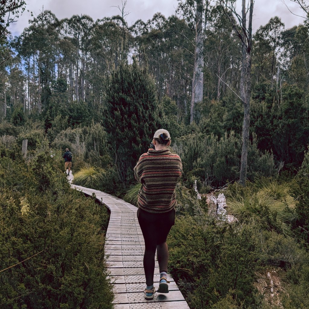Hannah walking along a wooden boardwalk through sub-alpine scrub