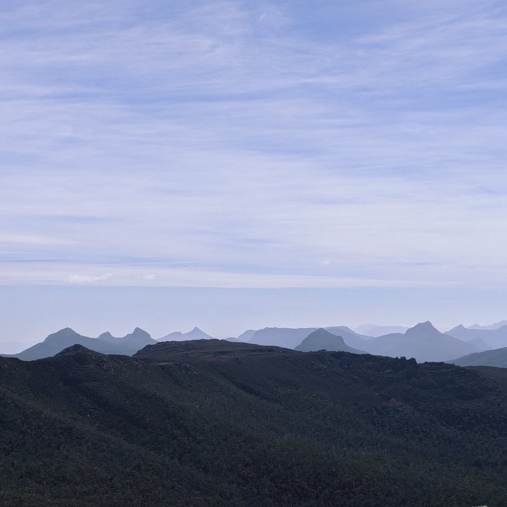 Layered blue mountain ranges stretching toward the horizon under a soft, wispy sky in the Tasmanian wilderness.