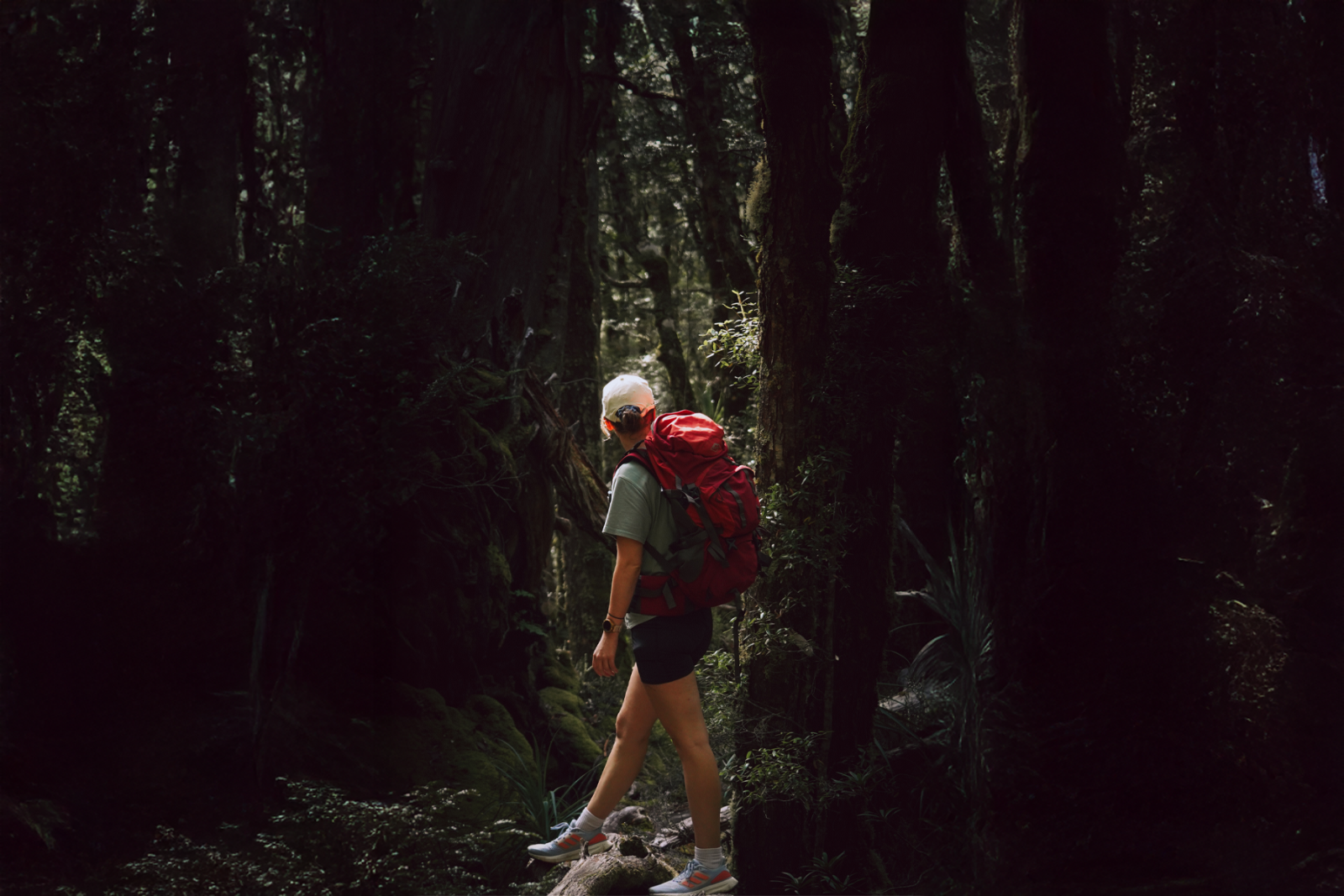 How these short walks in Tasmania will make you a better tourist