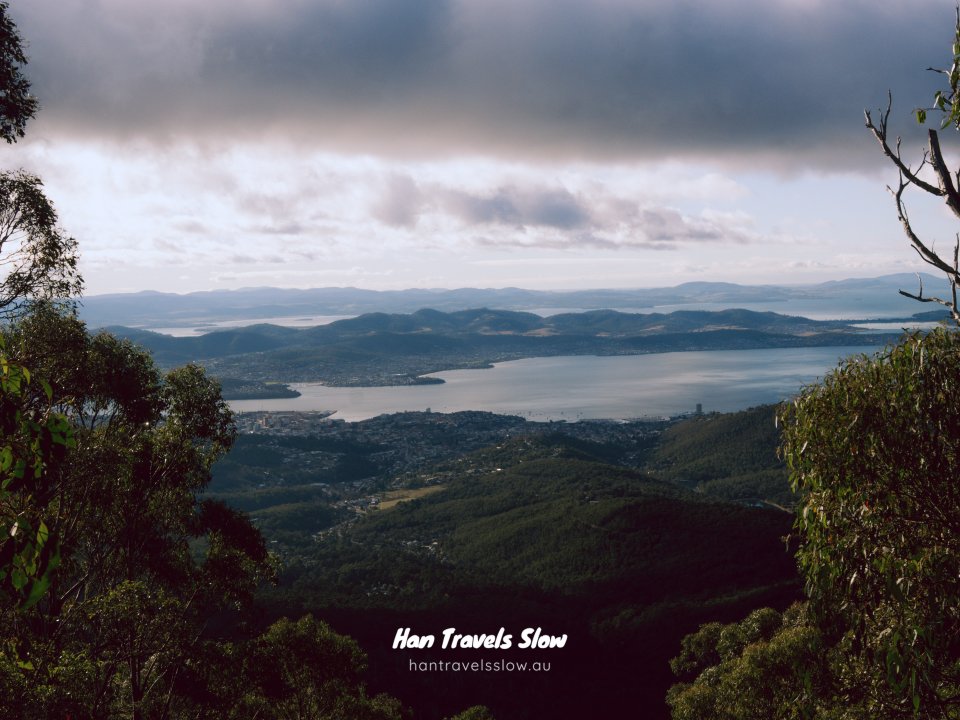 Panoramic view of Hobart and the Derwent River framed by eucalyptus trees under a moody, clouded sky.