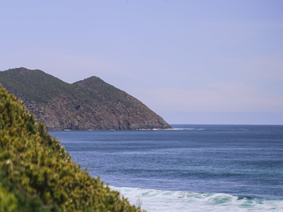 20241219-dsc04831.jpg