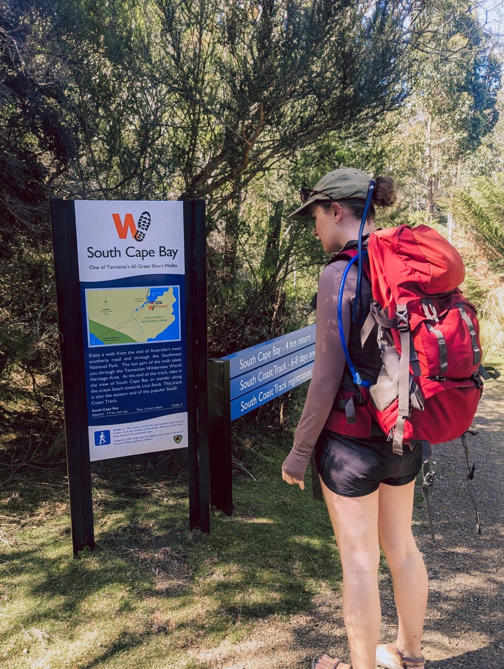 Almost all of Tasmania's 60 Great Short Walks have these signs with important and useful information