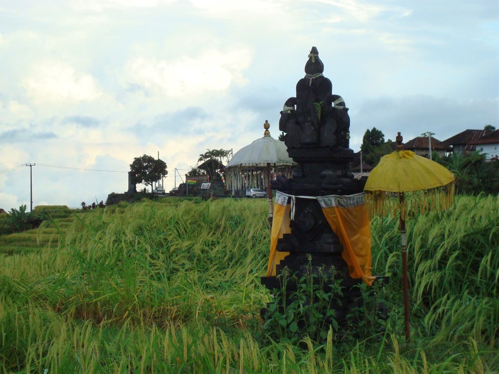 The central highlands around Batukaru are stunningly green, but you have to be prepared for cooler, damper weather.
