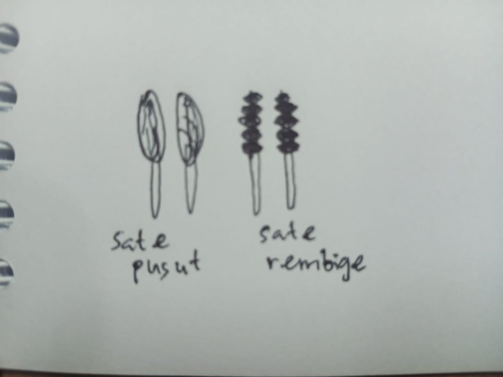Illustration comparing sate pusut and sate rembiga skewers from Lombok.