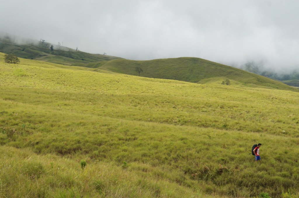 Person standing in a grassy, misty field with rolling hills in the background.