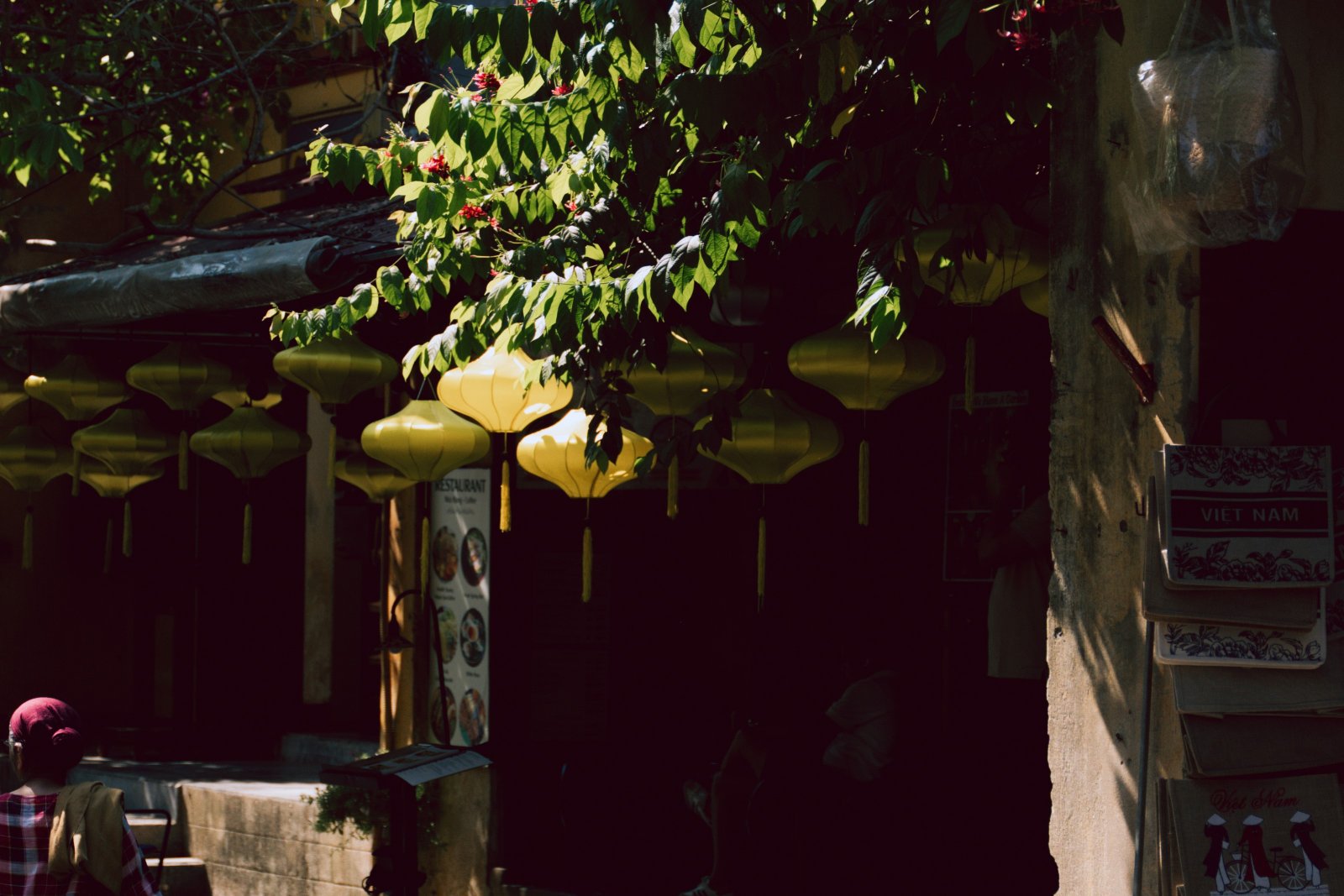 Việt Nam